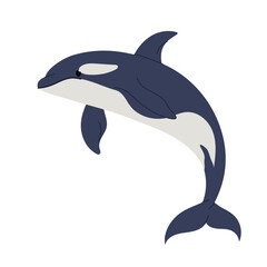 Fototapeta premium Killer whale. Marine animal. A big oceanic fish. 