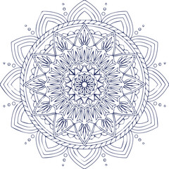 Beautiful flower art and mandala vector design