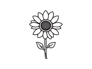 Sunflower line art vector illustration