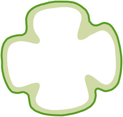 シンプルな手描きのピーマンの断面イラスト
