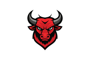 bull head isolated on white