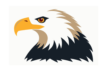 american bald eagle