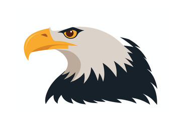 american bald eagle