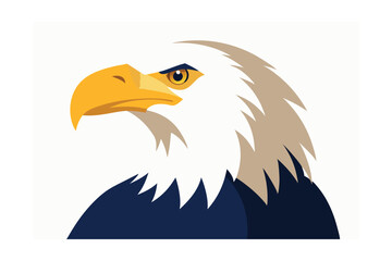 american bald eagle