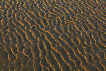 Sand patterns on the sea dropped. Is aging beautifully. Traces of ebb tide Make shapes on the sand