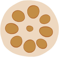 シンプルな手描きのれんこんの断面イラスト
