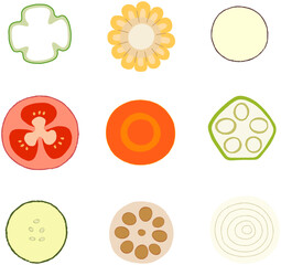 シンプルな手描きの野菜断面イラストセット
