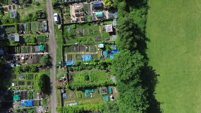 Aerial view of open allotment space - detailing blends of nature with small agricultural plots.