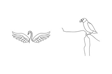 Elegant swan and bird contour line drawings against a clean white background for design