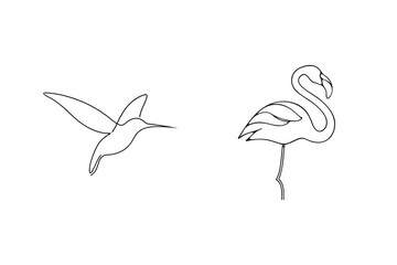 Minimalist hummingbird and flamingo line art illustrations on a clean white background