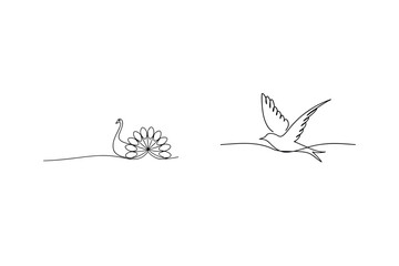 Elegant line drawing of a peacock and a bird in flight against a clean white background