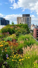 Naklejka premium Vibrant Rooftop Garden Overgrown with Wild Nature in Urban Setting