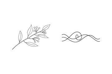 Minimalist line art illustration featuring delicate floral branch and decorative swirls