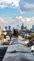 Fototapeta premium Rooftop View Highlighting the Unique Smells of the Urban Landscape