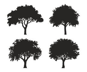 Natural Orange Tree Silhouette Isolated Vector Template