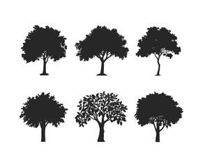 Orange Tree Silhouette Design EPS Vector Illustration