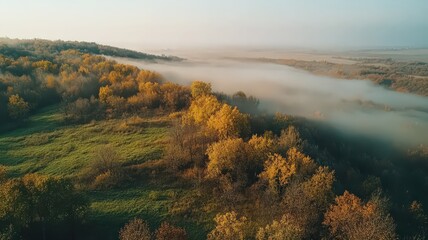 Obraz premium Fog-Covered Hills Under Warm Morning Hues in a Serene Autumn Landscape