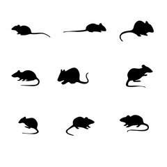 Rat Black and White Set 1