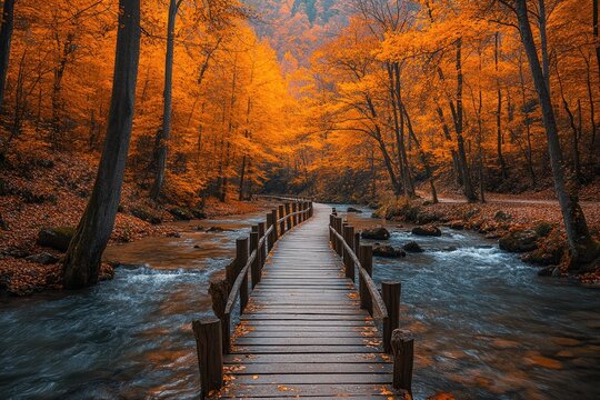 Autumnal forest path leading over a babbling brook.
