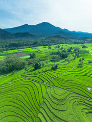 Obraz premium Beautiful morning view indonesia panorama landscape paddy fields with beauty color and sky natural light