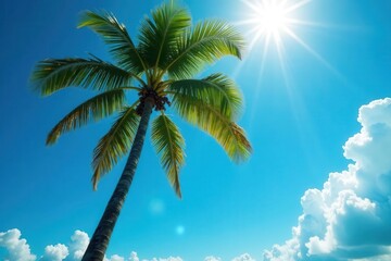 Obraz premium Majestic palm reaching for azure sky, dramatic light , texture, visual