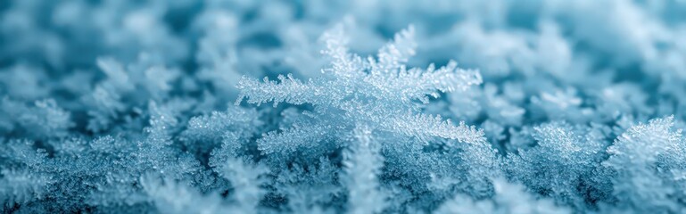 Fototapeta premium Frozen Window Detail Showcasing Intricate Frost Patterns and a Beautiful Winter Aesthetic