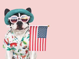 Cute puppy, sunglasses, sunhat and American Flag. Closeup, indoors. Studio shot. Congratulations...