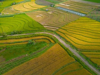 Aerial photo showing the contrast between natural green forest and agricultural land damaged by...