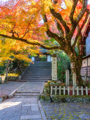 Entrance to the Anrakuji Temple during fall season. In Sakyo Ward, Kyoto, Japan. November-20-2024.