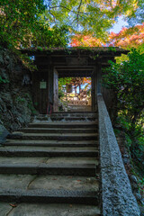 Daihikaku Senkoji Temple in the famous Arashiyama forest during fall season. Kyoto, Japan.