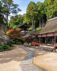 Obraz premium The beautiful Chomeiji Temple during fall season, on Lake Biwa, near the town of Omihachiman. Shiga Prefecture, Japan.