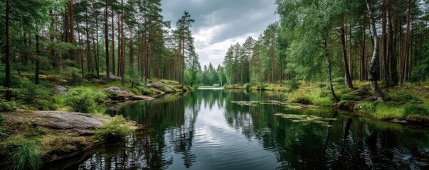 Scenic view of lake in pine forest with mountain and park concept. Serene forest landscape reflecting in a calm, tranquil lake.