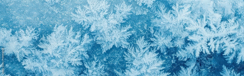 Poster intricate frost patterns on a frozen window creating a beautiful winter background