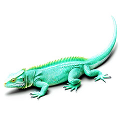 Naklejka premium A radiant turquoise iguana stands out against a stark black backdrop, showcasing its unique scales.