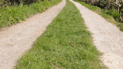 Dirt track with a grass mohawk