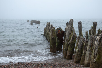 A foggy beach scene with weathered wooden posts stretching into the sea. Soft sand and moody light evoke quiet solitude and timeless decay along a forgotten shoreline.