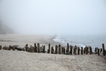 A foggy beach scene with weathered wooden posts stretching into the sea. Soft sand and moody light evoke quiet solitude and timeless decay along a forgotten shoreline.