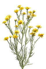 Fototapeta premium Vibrant Yellow Artificial Flower Spray Perfect for Home Decor and Crafts