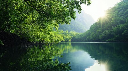 Sunlight filters through dense foliage, casting shimmering reflections on a calm river. The peaceful environment showcases vibrant greenery and tranquil waters