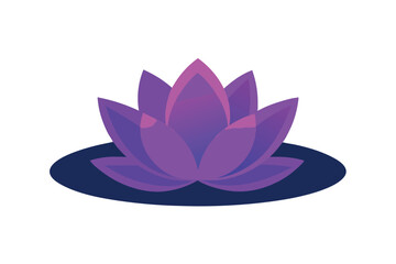 purple lotus flower