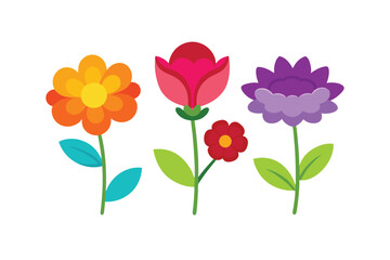 red tulips on white background