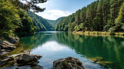 Fototapeta premium Scenic view of lake in pine forest beside nature park concept. Serene lake surrounded by lush green trees and mountains.