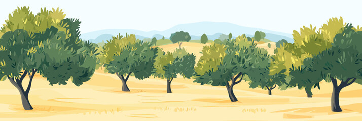 Olive grove landscape with lush green olive trees growing on golden dry terrain under clear sky in minimalist flat vector style