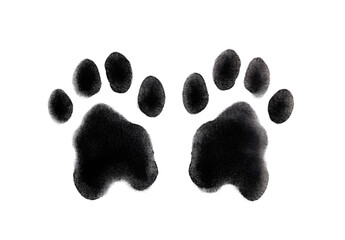 Dog paws