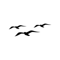 Three Seagulls icon isolated on white background