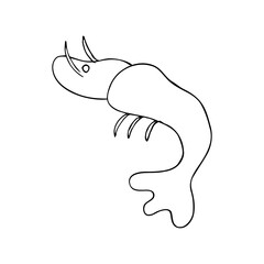 Simple hand-drawn illustration of a shrimp in minimalistic line art style. Clean black outline on a white background. Ideal for seafood-themed designs, coloring books, tattoo art, culinary visuals, an