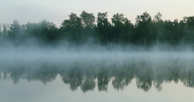Calm lake at dawn with gentle mist and soft blue tones, creating a serene and peaceful atmosphere.