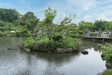 池の中の島