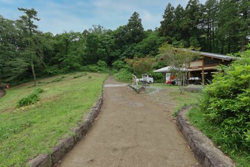 丘の上の家