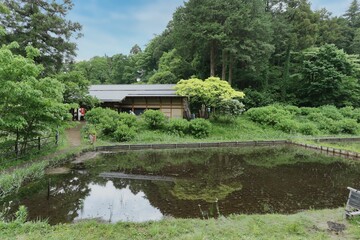 里山の風景
